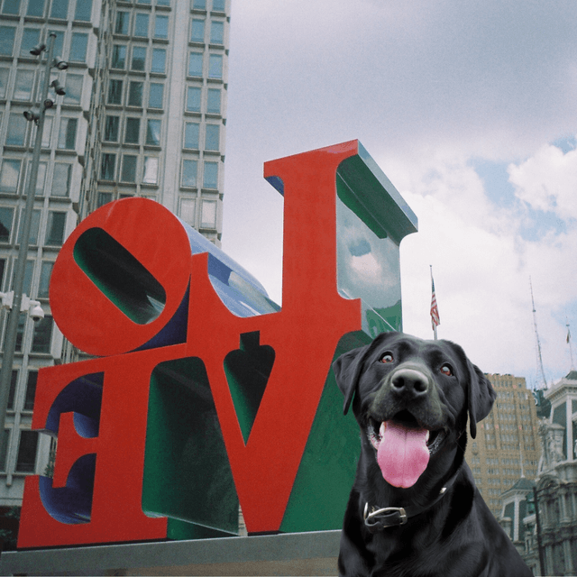 Philadelphia dog in front of 'LOVE' sculpture