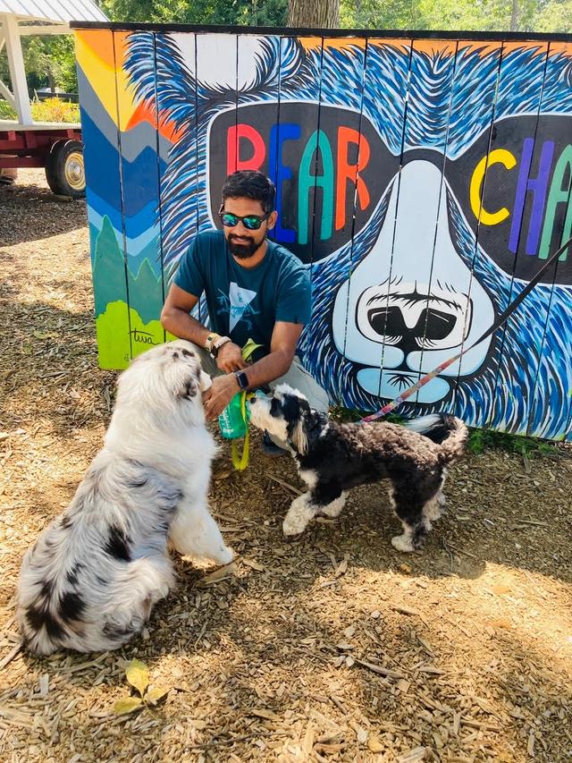 a guy feeding 2 dogs at bear chase brewing company